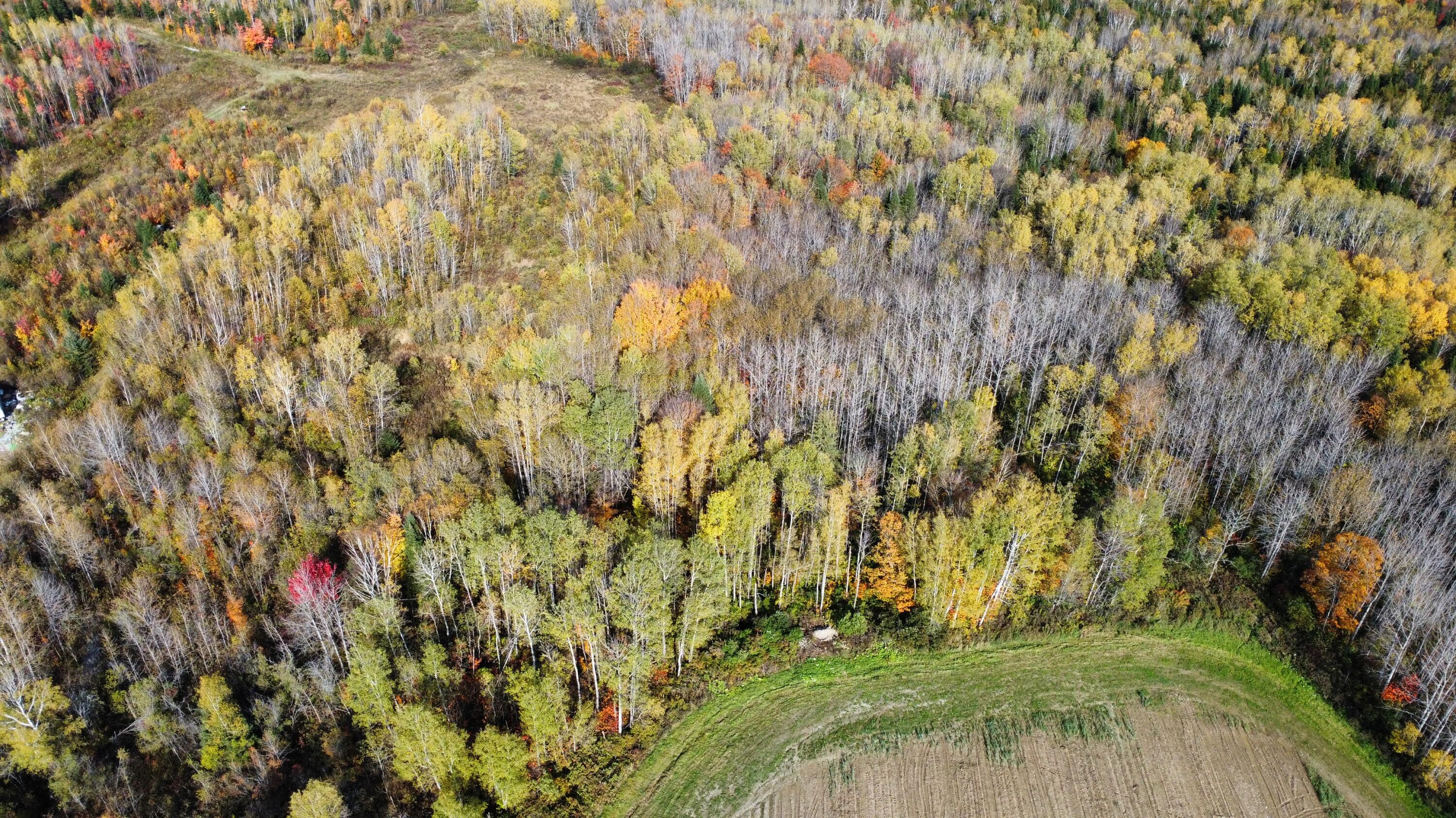 Lot 32 Alexander Road Van Buren, ME 04785 - Photo 5 of 25 dji_fly_20241009_150804_683_172849730629