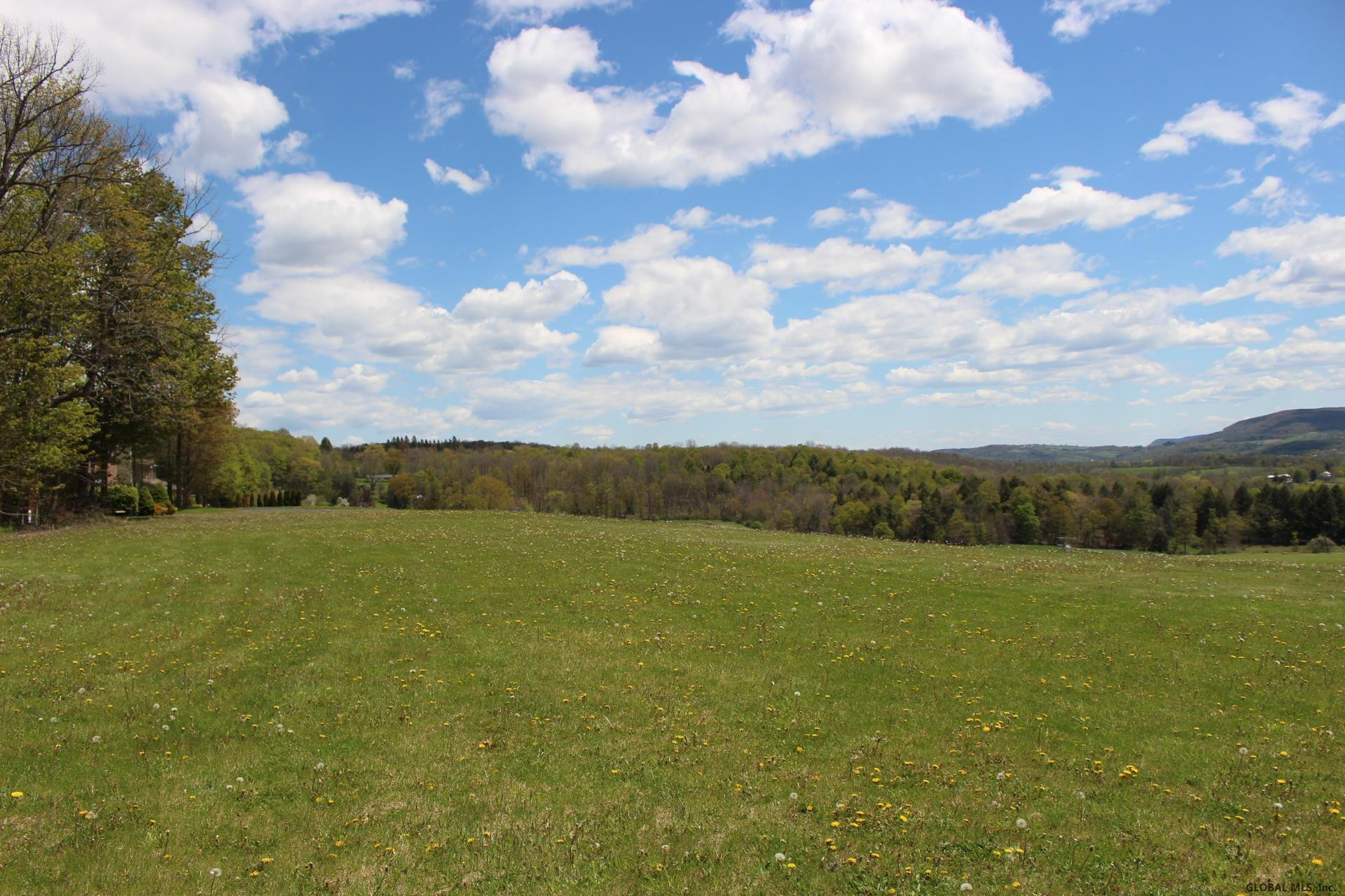 131 Myers Road Howes Cave, NY 12092 - Photo 36 of 40 Photo 40