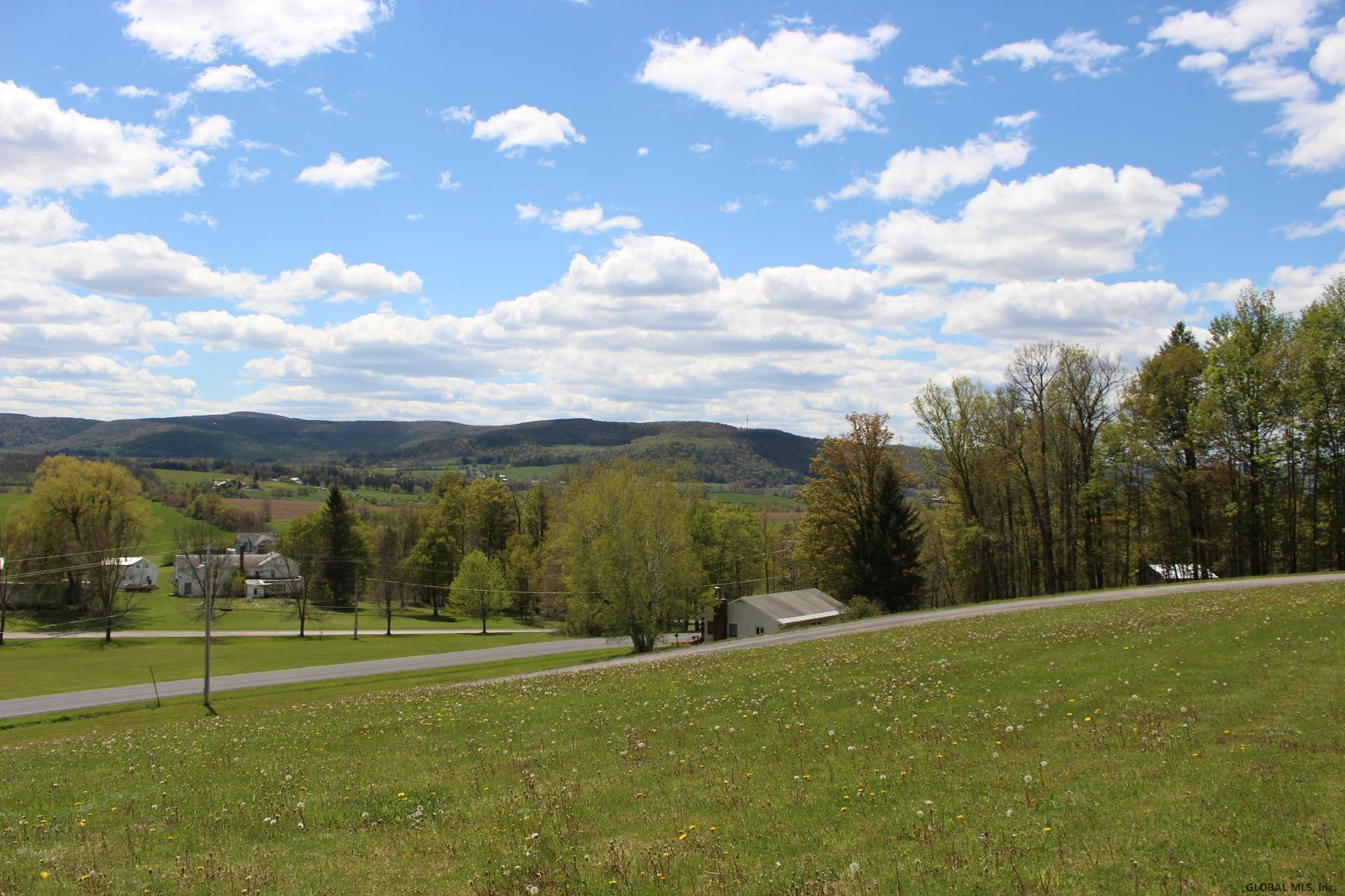 131 Myers Road Howes Cave, NY 12092 - Photo 38 of 40 Photo 42