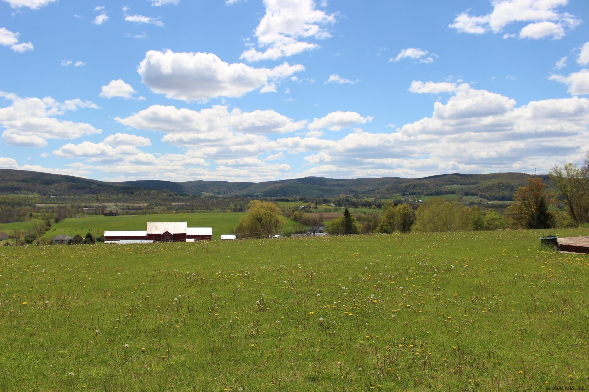 131 Myers Road Howes Cave, NY 12092 - Photo 39 of 40 Photo 43