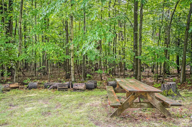 $200,000 | 31588 West Birch Shores Drive, Trout Lake, MI 49793