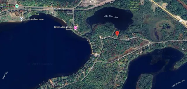 $200,000 | 31588 West Birch Shores Drive, Trout Lake, MI 49793