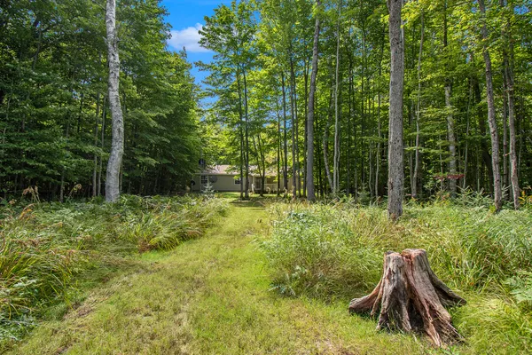 $200,000 | 31588 West Birch Shores Drive, Trout Lake, MI 49793