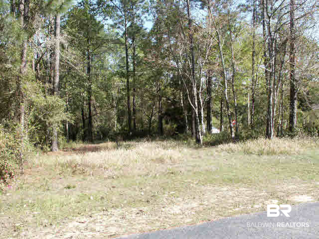 1436 Rio Circle Lillian, AL 36549 - Photo 1 of 1