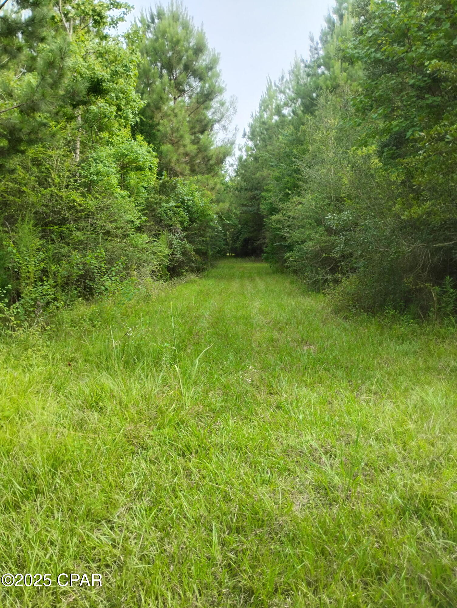 0 Hwy 77 Chipley Chipley, FL 32428 - Photo 14 of 23
