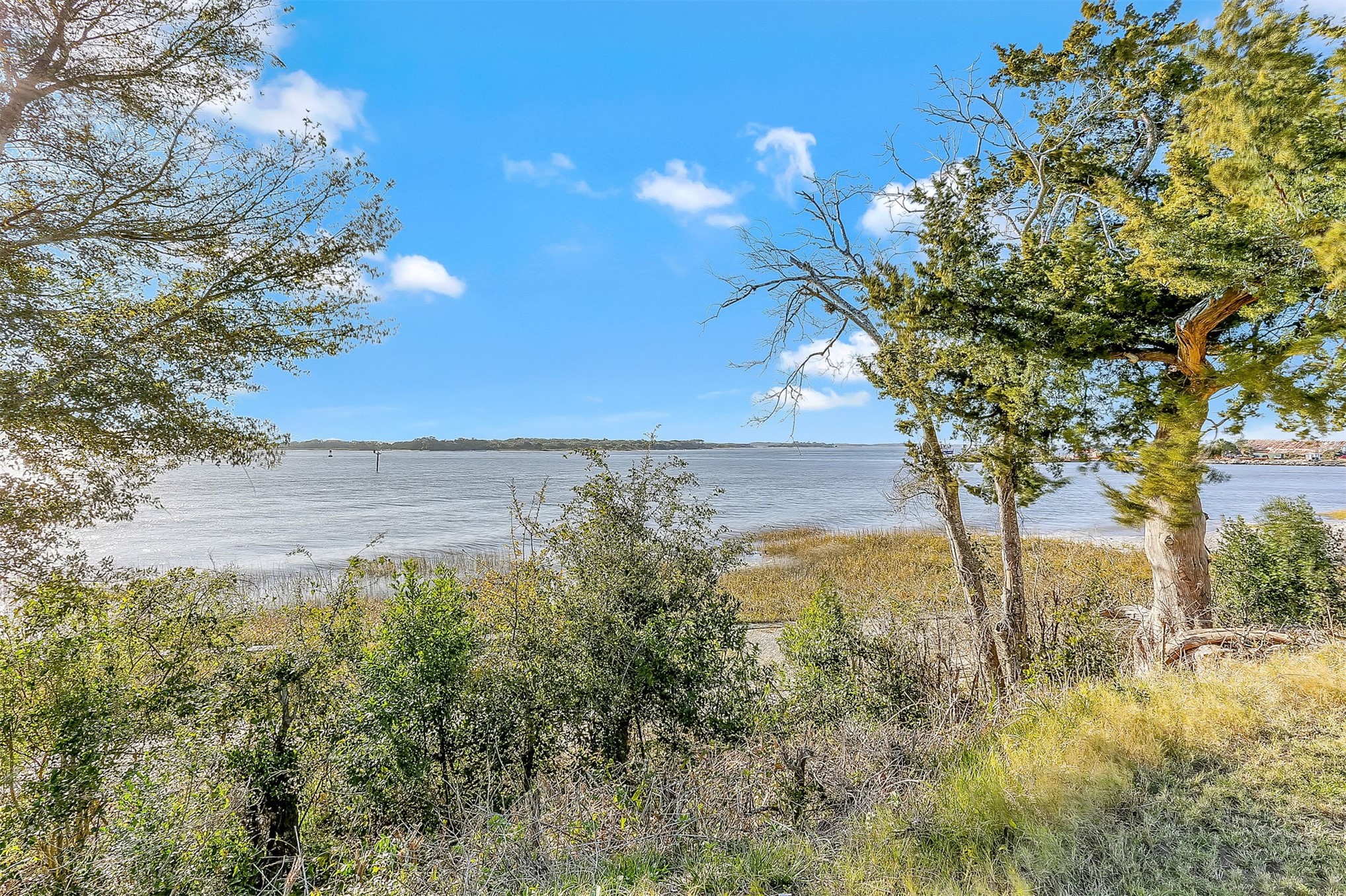 1111 White Street Fernandina Beach, FL 32034 - Photo 73 of 82 a view of yard with large tree and wooden fence