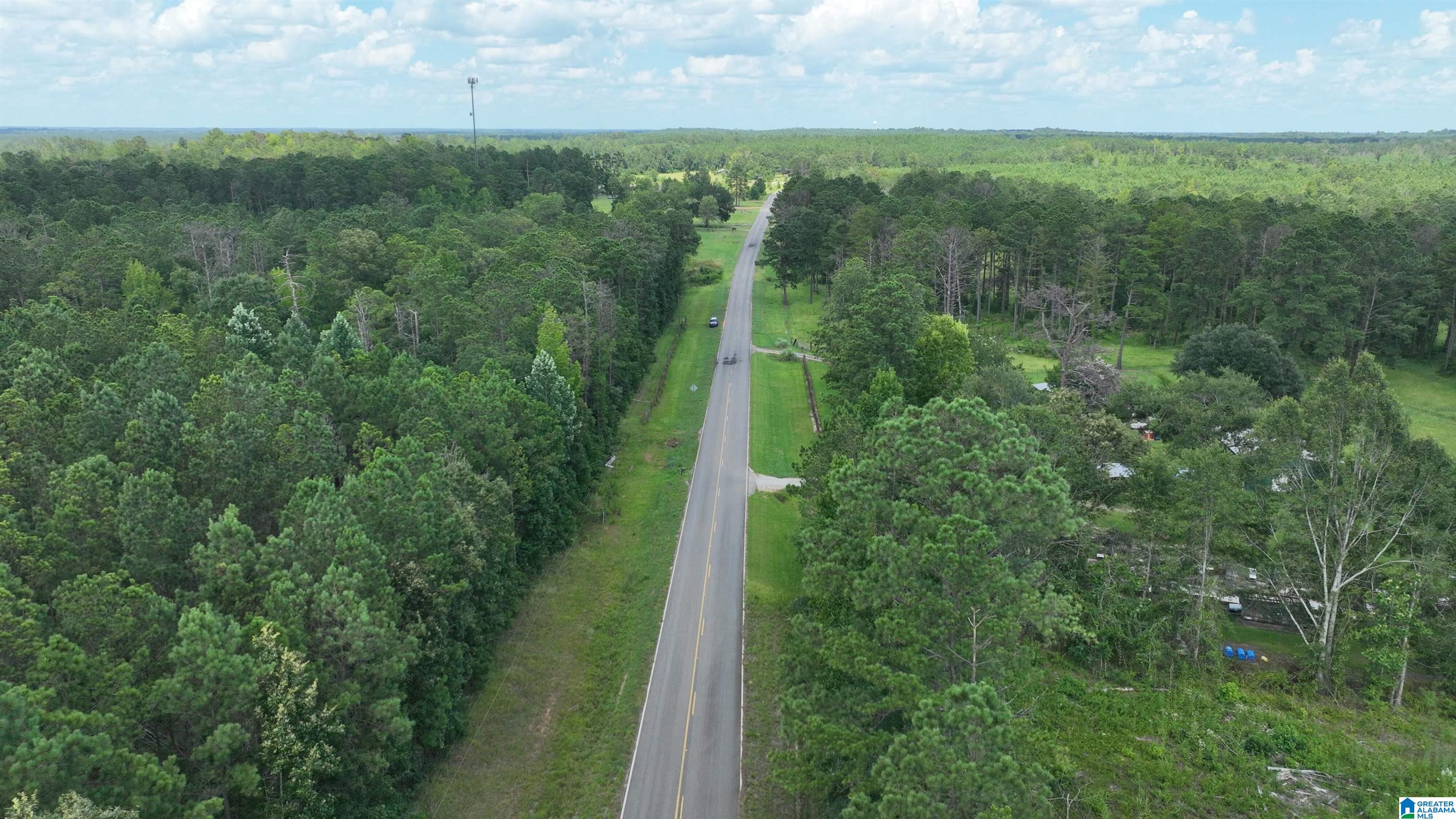 0 South Shackleville Road Georgiana, AL 36033 - Photo 20 of 22