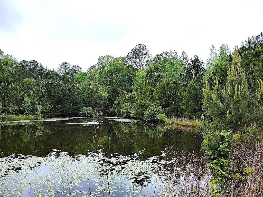 2519 Mount Carmel Road Newnan, GA 30263 - Photo 1 of 1 a view of lake