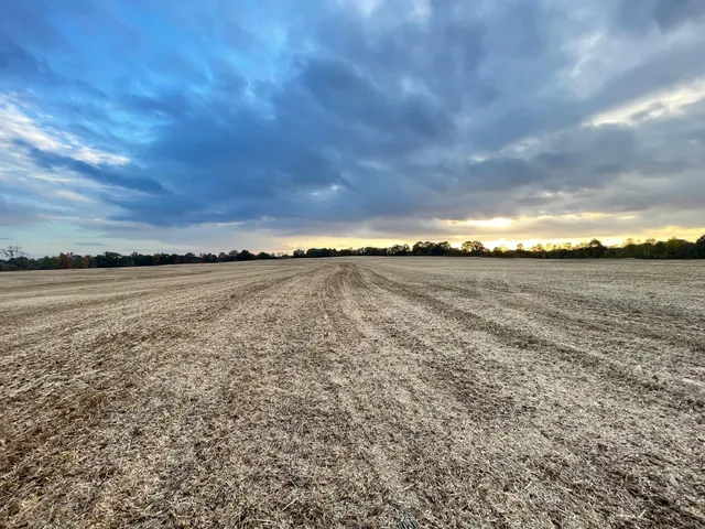 a view of an ocean and beach