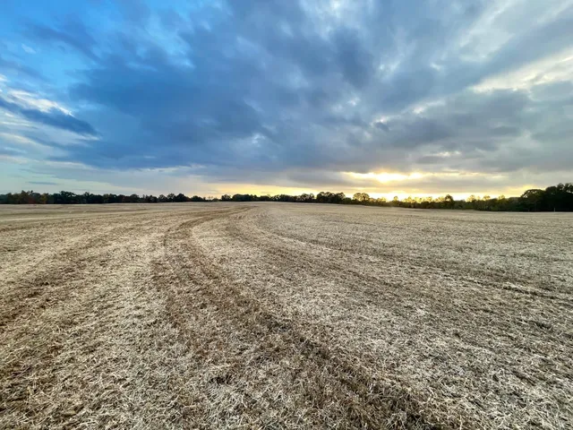 a view of an ocean beach and beach