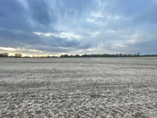 a view of an ocean beach