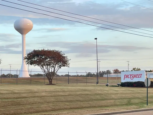 a view of an ocean and beach