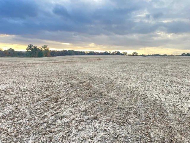 a view of an ocean and beach