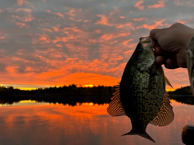 $274,500 | Tbd Wilderness Way Road, Orr, MN 55771