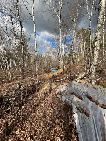 $274,500 | Tbd Wilderness Way Road, Orr, MN 55771