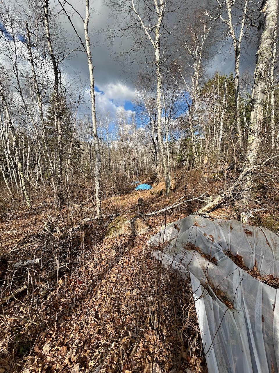 Tbd Wilderness Way Road Orr, MN 55771 - Photo 11 of 22 View of local wilderness