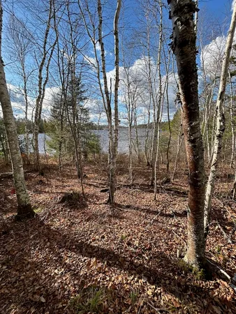 $264,500 | Tbd Wilderness Way Road, Orr, MN 55771