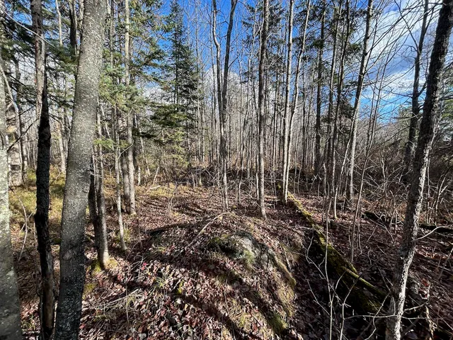 $274,500 | Tbd Wilderness Way Road, Orr, MN 55771