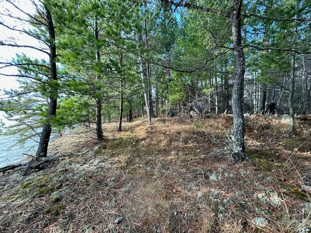 $274,500 | Tbd Wilderness Way Road, Orr, MN 55771