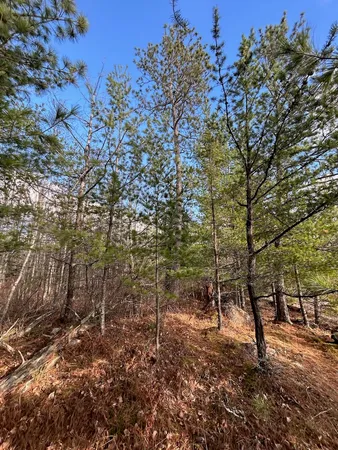 $264,500 | Tbd Wilderness Way Road, Orr, MN 55771