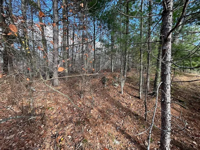 $274,500 | Tbd Wilderness Way Road, Orr, MN 55771