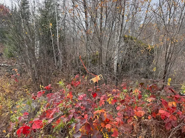 $264,500 | Tbd Wilderness Way Road, Orr, MN 55771