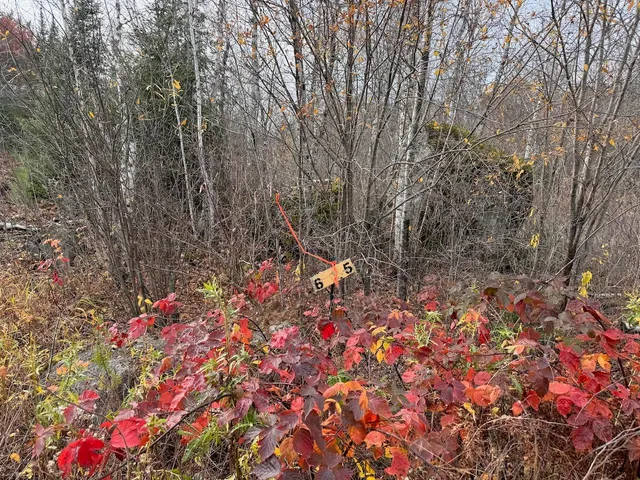 $274,500 | Tbd Wilderness Way Road, Orr, MN 55771