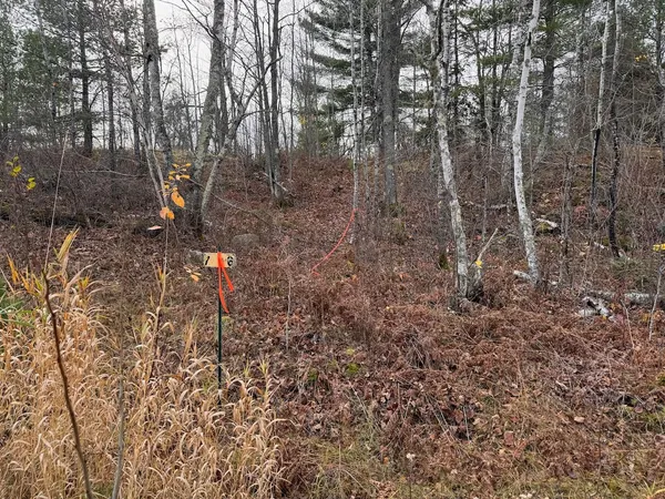 $264,500 | Tbd Wilderness Way Road, Orr, MN 55771