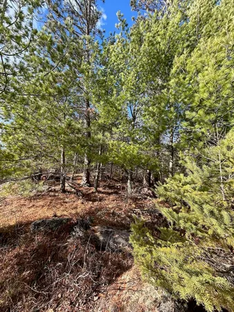 $264,500 | Tbd Wilderness Way Road, Orr, MN 55771