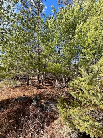$274,500 | Tbd Wilderness Way Road, Orr, MN 55771