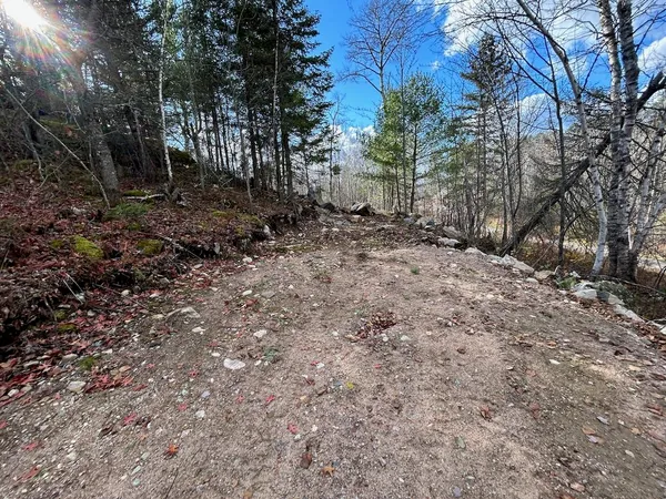 $264,500 | Tbd Wilderness Way Road, Orr, MN 55771