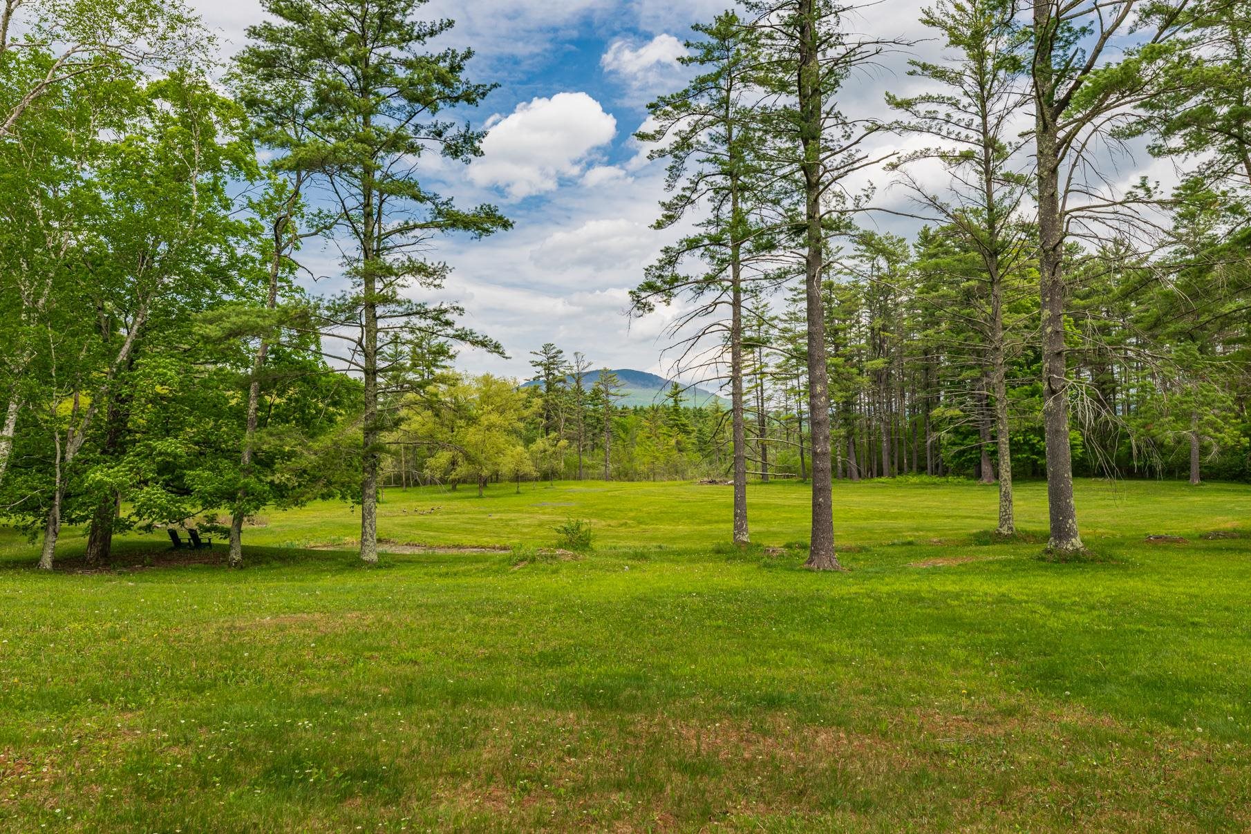 1613 W Road Manchester, VT 05255 - Photo 28 of 29