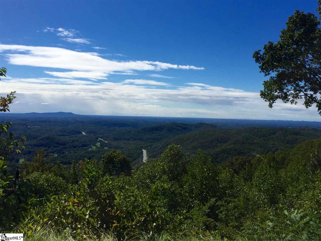 1511 Panther Park Trail, Unit CVAPMP056 Travelers Rest, SC 29690 - Photo 3 of 8