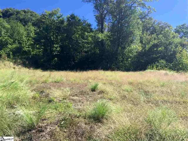 $199,000 | 1511 Panther Park Trail, Unit CVAPMP056, Travelers Rest, SC 29690