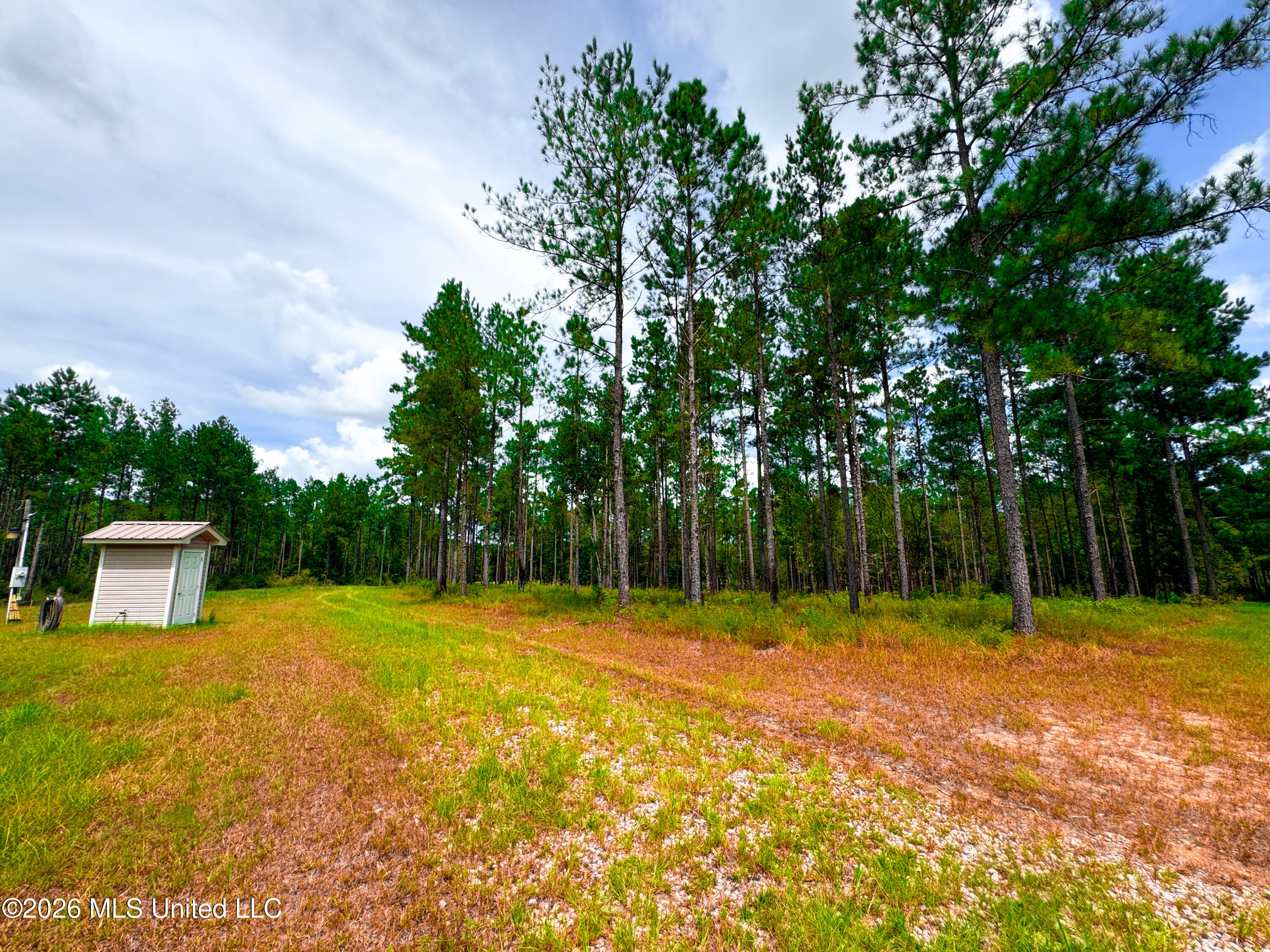 Wire Road Vancleave, MS 39565 - Photo 23 of 26 IMG_9989