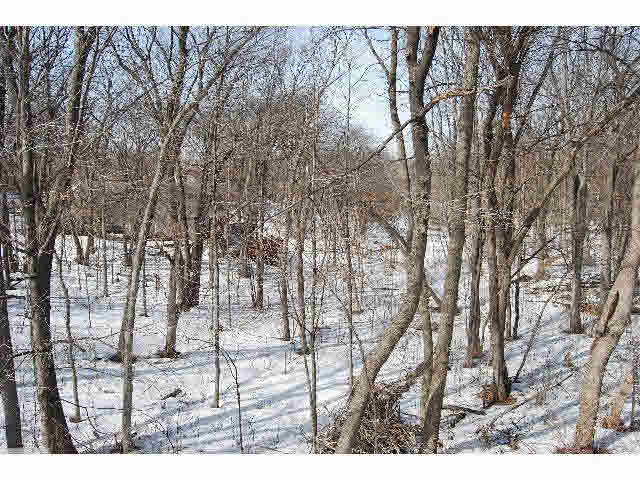 8010 60th 1/2 Avenue North New Hope, MN 55428 - Photo 6 of 18