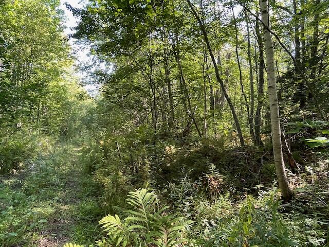 Lot 53 Robb Hill Road Alexander, ME 04694 - Photo 20 of 29 IMG_2767