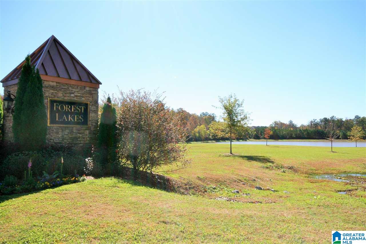 2109 Forest Lakes Lane Sterrett, AL 35147 - Photo 28 of 28