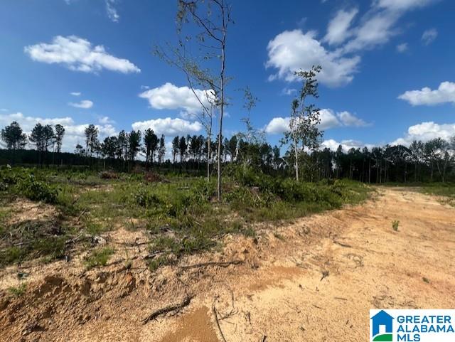 11482 Camp Oliver Road Adger, AL 35006 - Photo 27 of 48