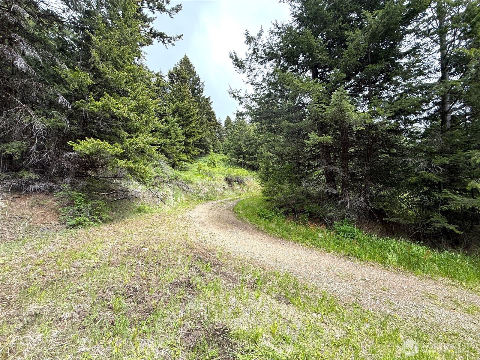 0 Pontiac Ridge Road Oroville, WA 98844 - Photo 4 of 21
