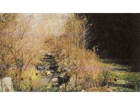 6246 Fairview Road Duffield, VA 24244 - Photo 3 of 12 Photo 3