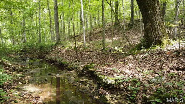 $118,500 | 10223 San Juan Trail, Sullivan, MO 63080