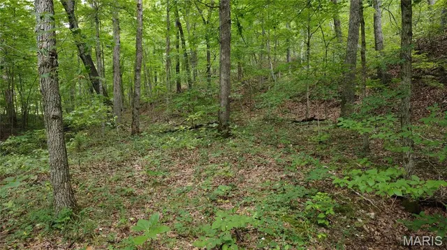 $118,500 | 10223 San Juan Trail, Sullivan, MO 63080