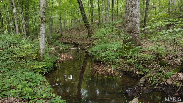 $118,500 | 10223 San Juan Trail, Sullivan, MO 63080