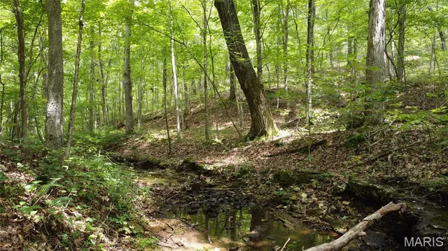 $118,500 | 10223 San Juan Trail, Sullivan, MO 63080