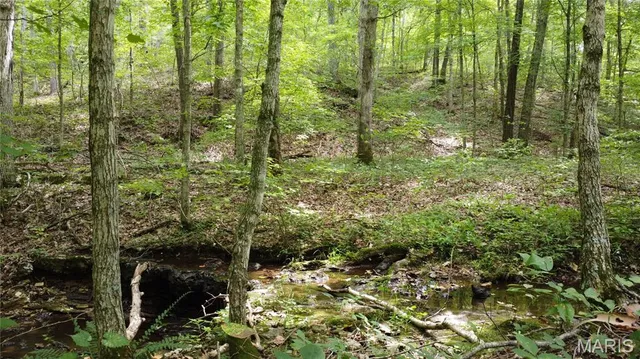 $118,500 | 10223 San Juan Trail, Sullivan, MO 63080