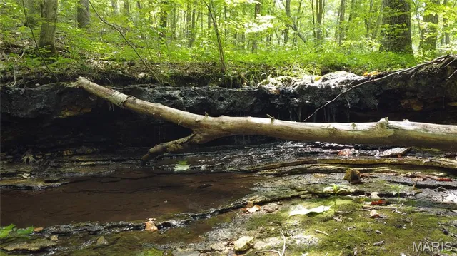 $118,500 | 10223 San Juan Trail, Sullivan, MO 63080