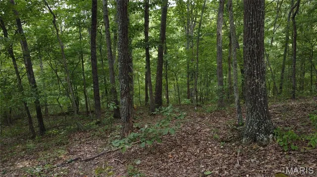 $118,500 | 10223 San Juan Trail, Sullivan, MO 63080