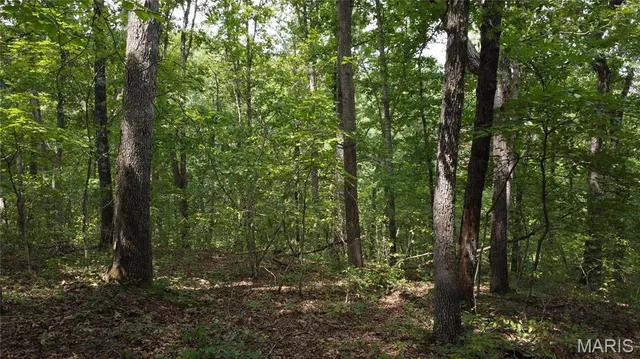 $118,500 | 10223 San Juan Trail, Sullivan, MO 63080