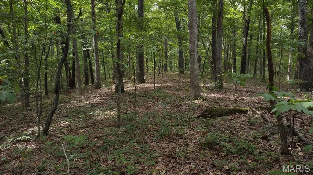 $118,500 | 10223 San Juan Trail, Sullivan, MO 63080